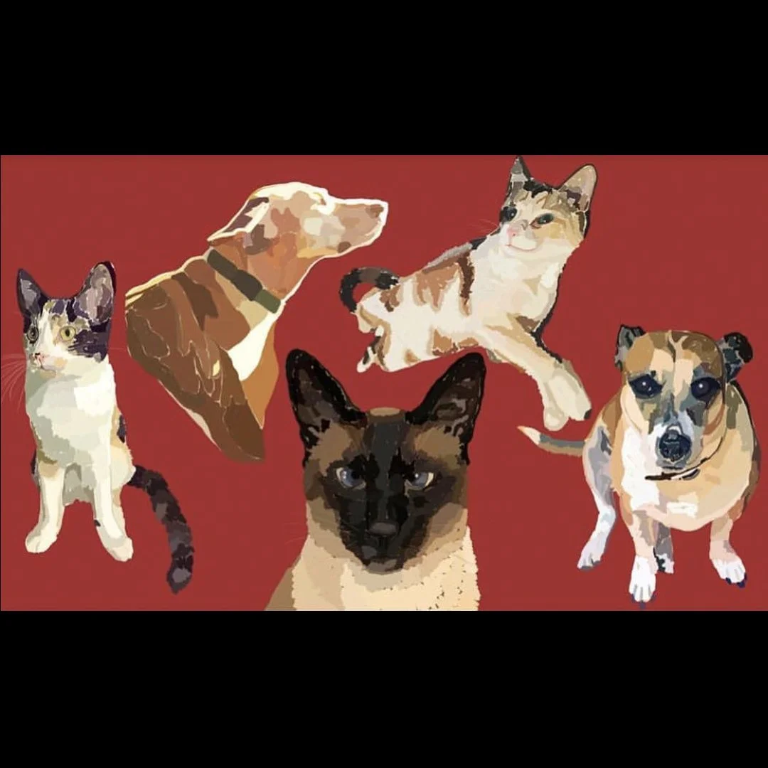 K &amp; G pet portraits by @laurynaymes on IG