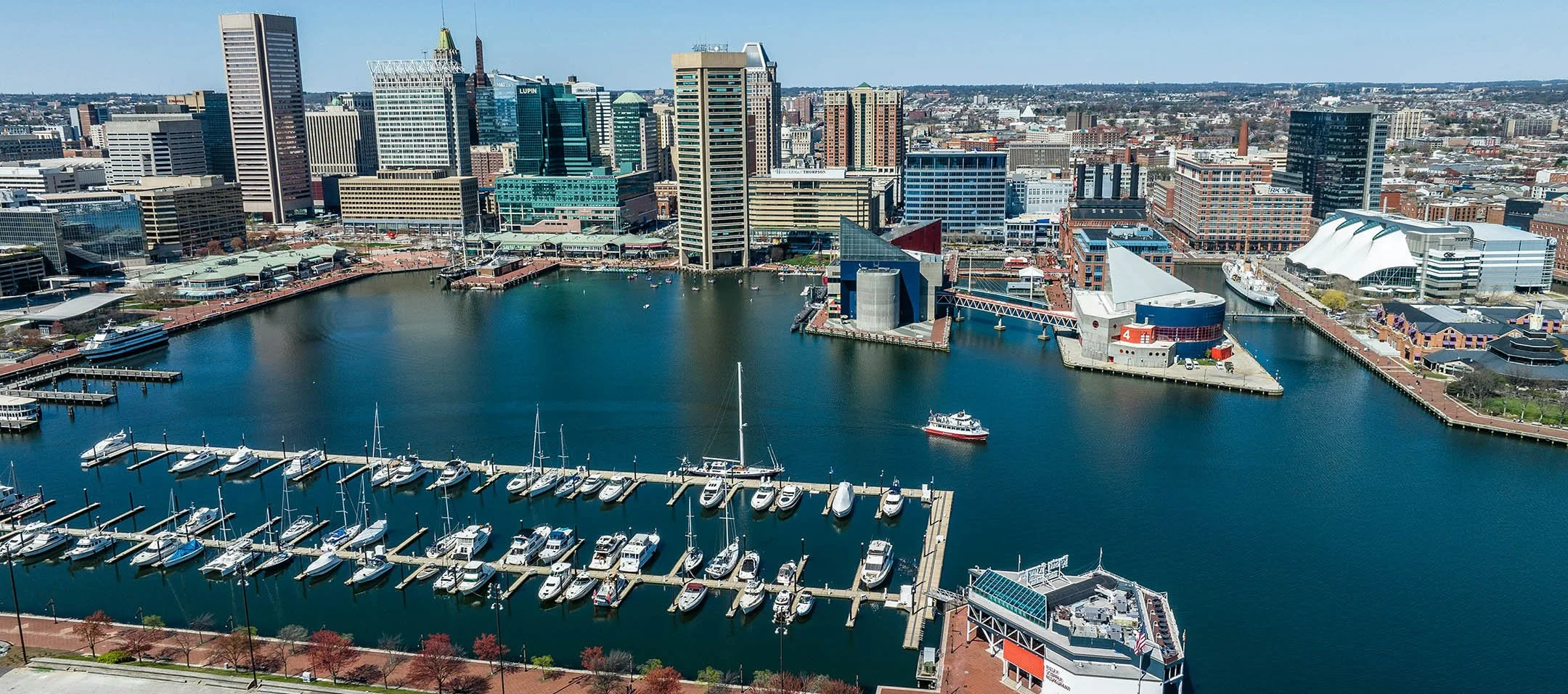 #80 Live At The Rams Head Live