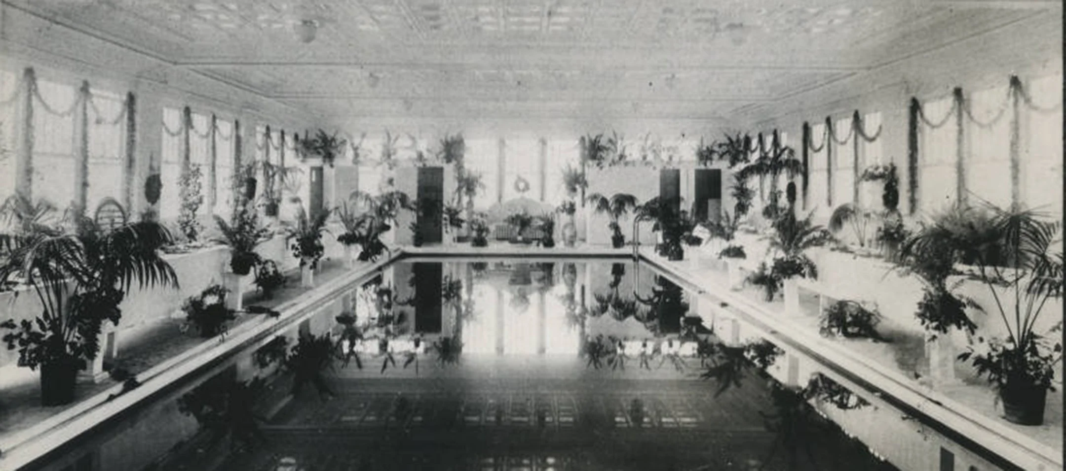 #519 Giants of Any Kind