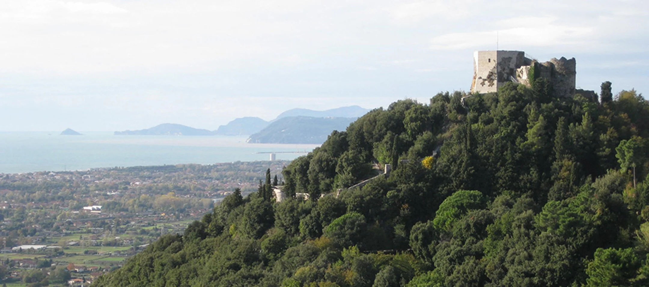 #521 I Can Count to Solo