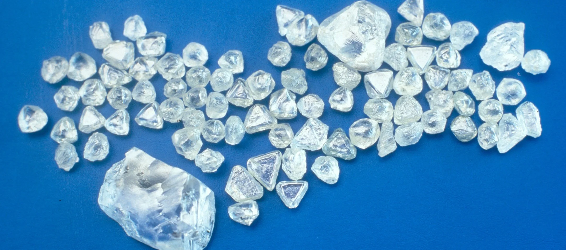 #529 How About Logical?