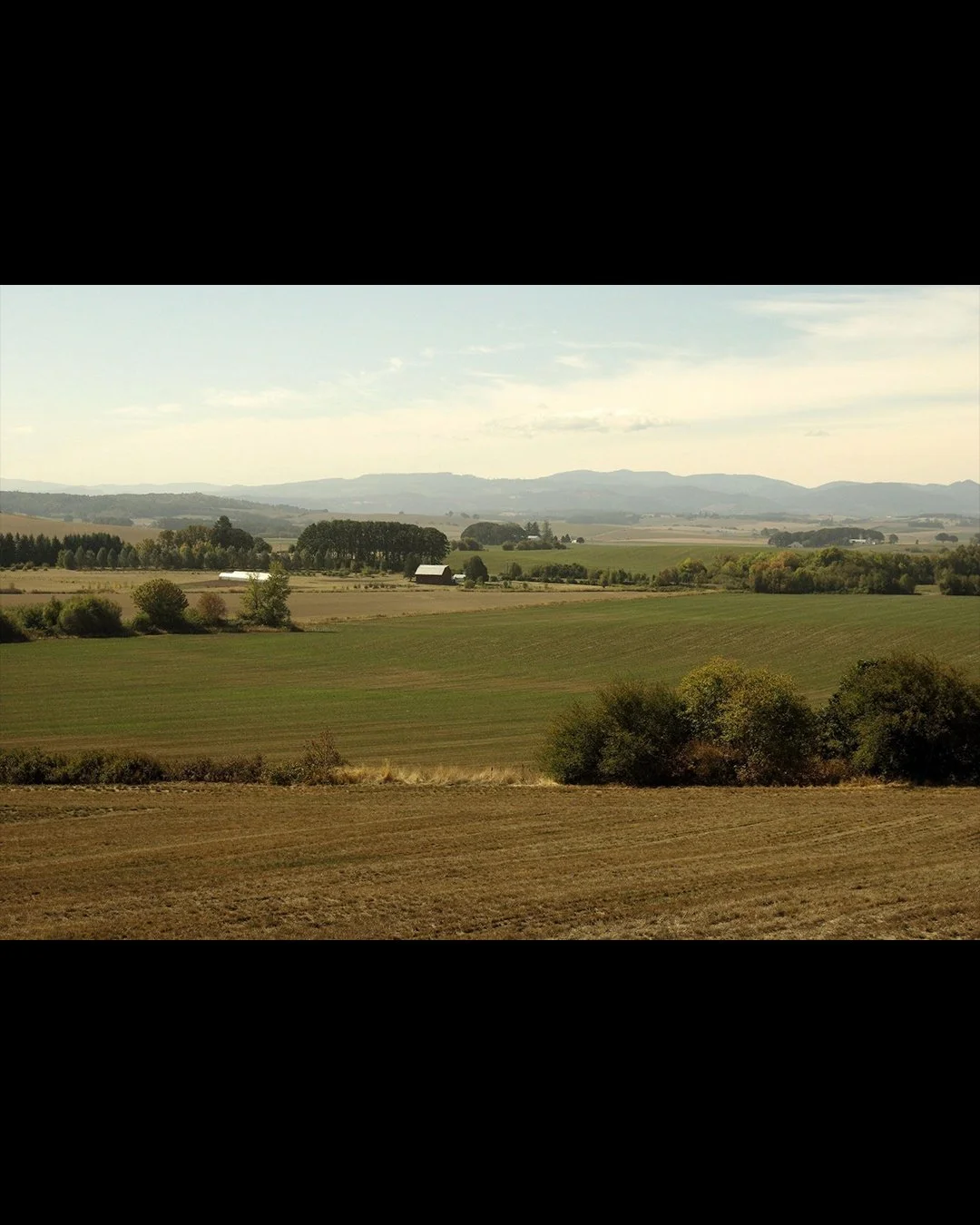 Willamette Valley
