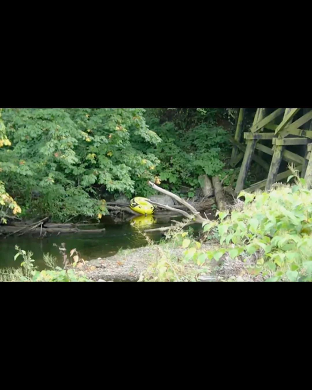 The inner tube abandoned on the creek