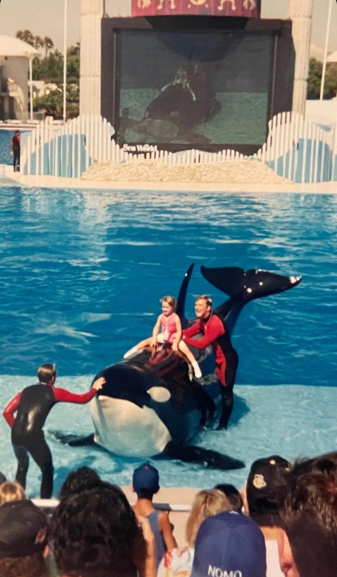 Toddler on Killer Whale 