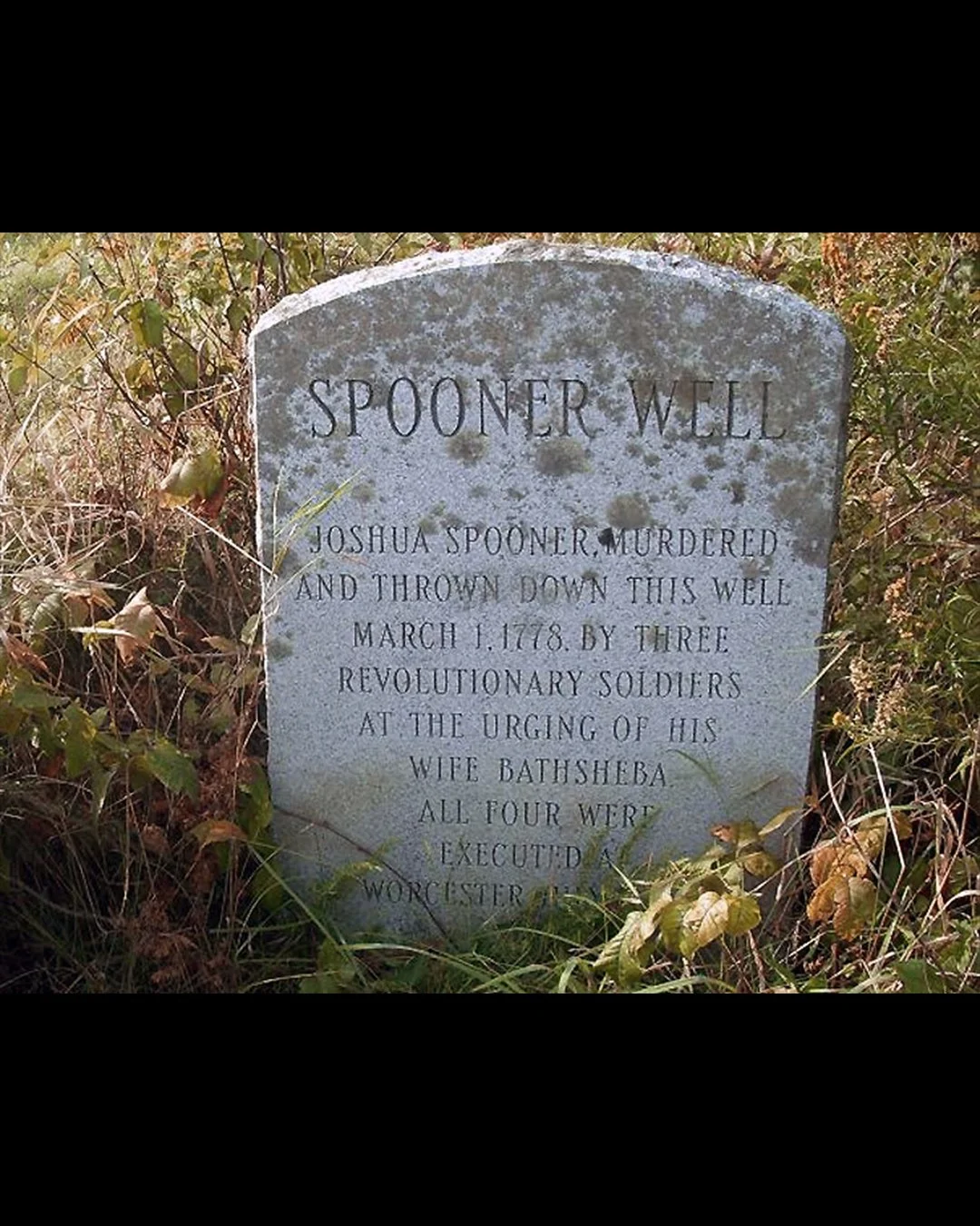 Marker near the well where Joshua’s body was found
