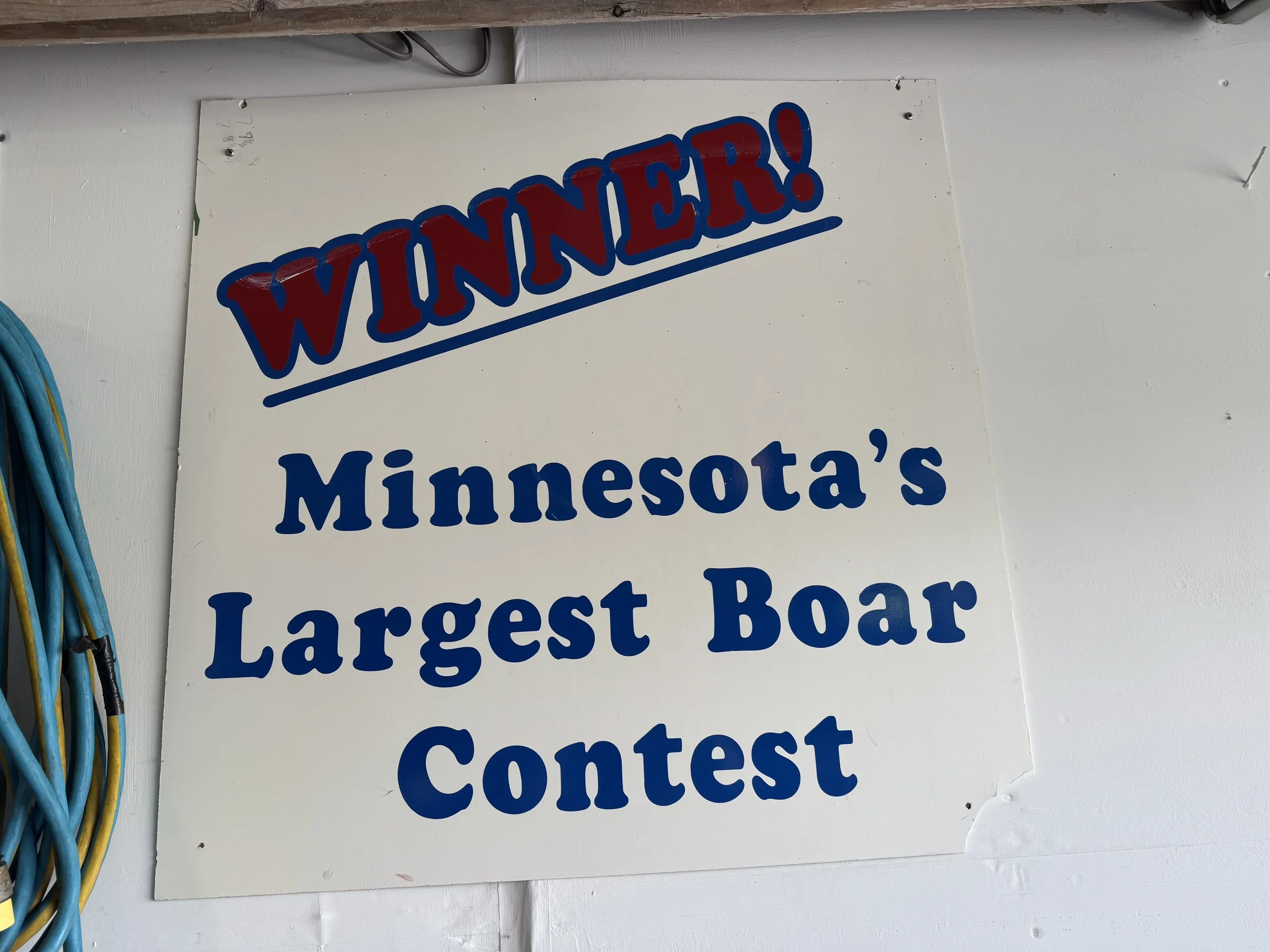 Largest boar sign