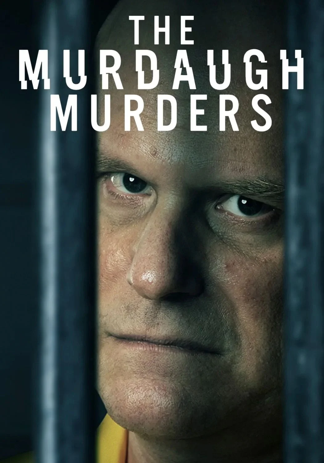 The Murdaugh Murders poster 