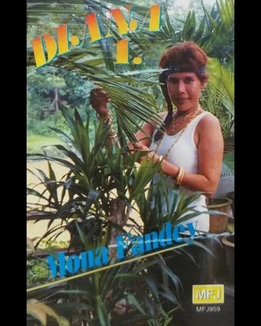 Diana 1 album cover