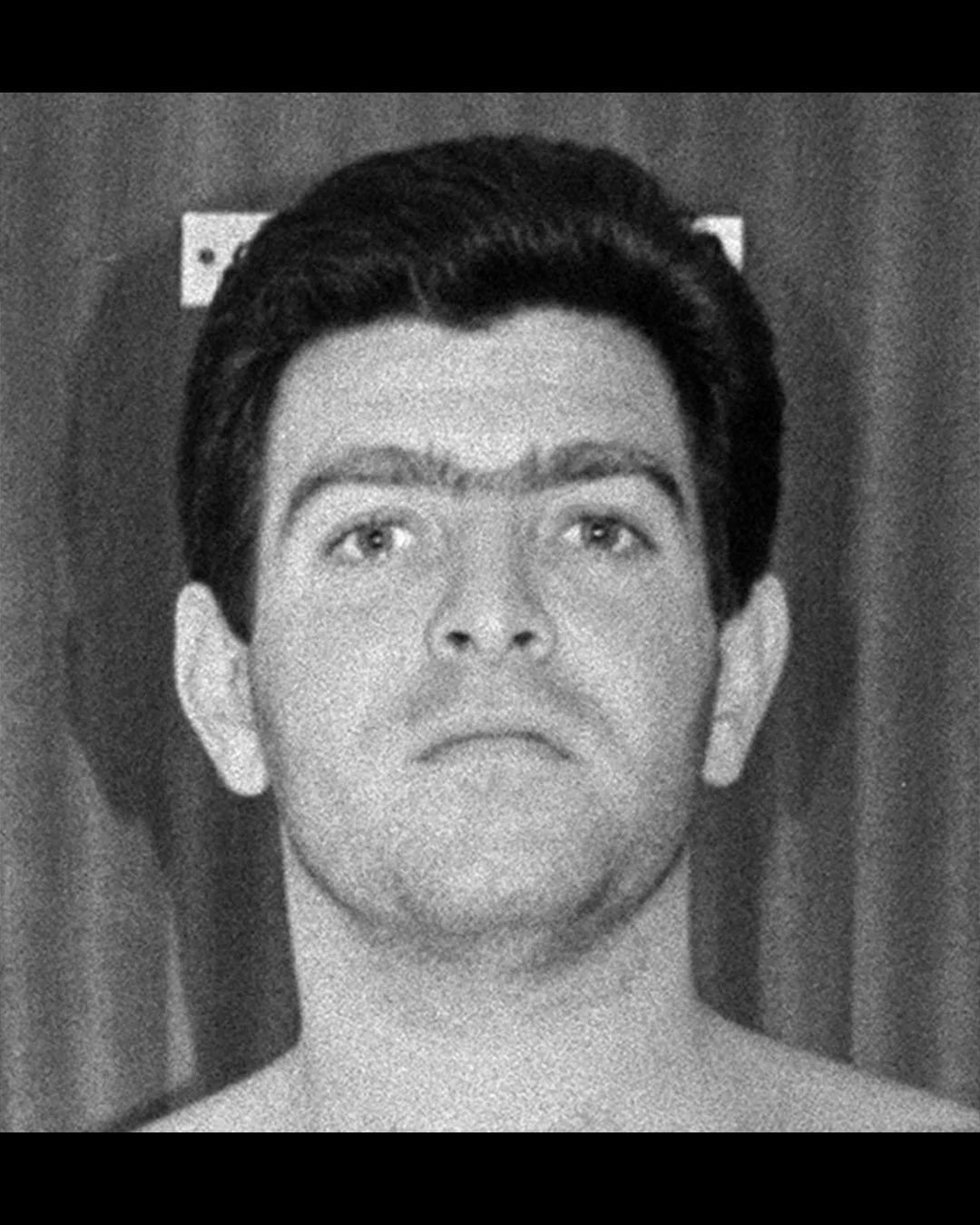 Valerio Viccei