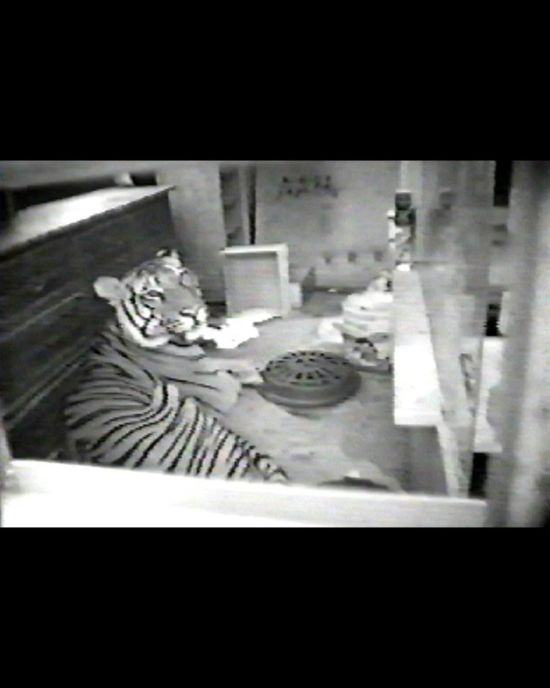 Police footage of Ming in the apartment