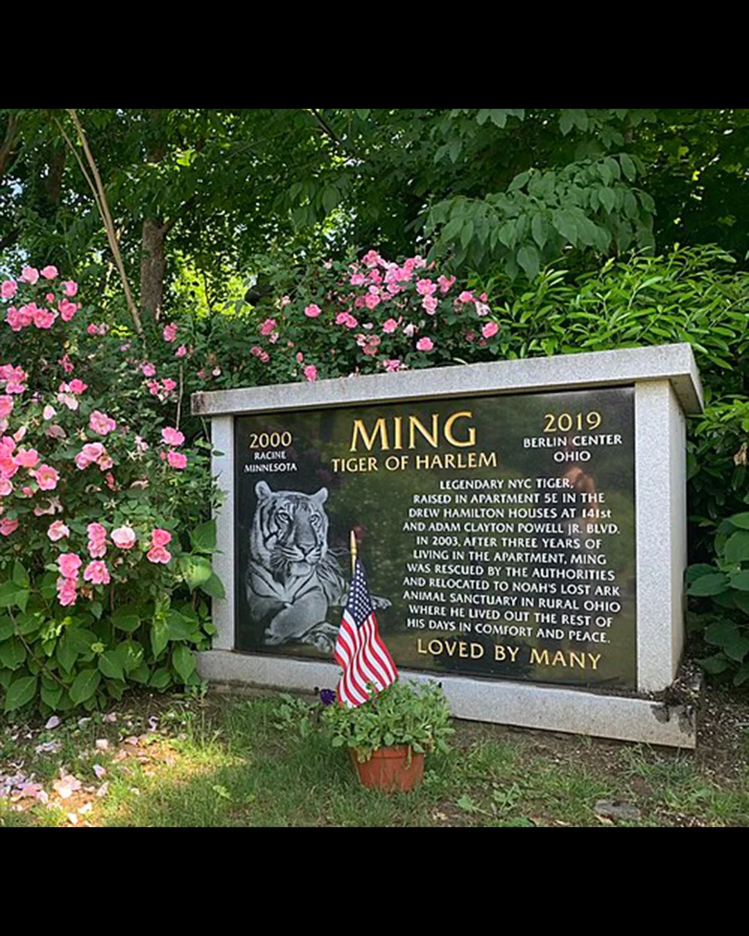 Ming's resting place in Hartsdale, NY