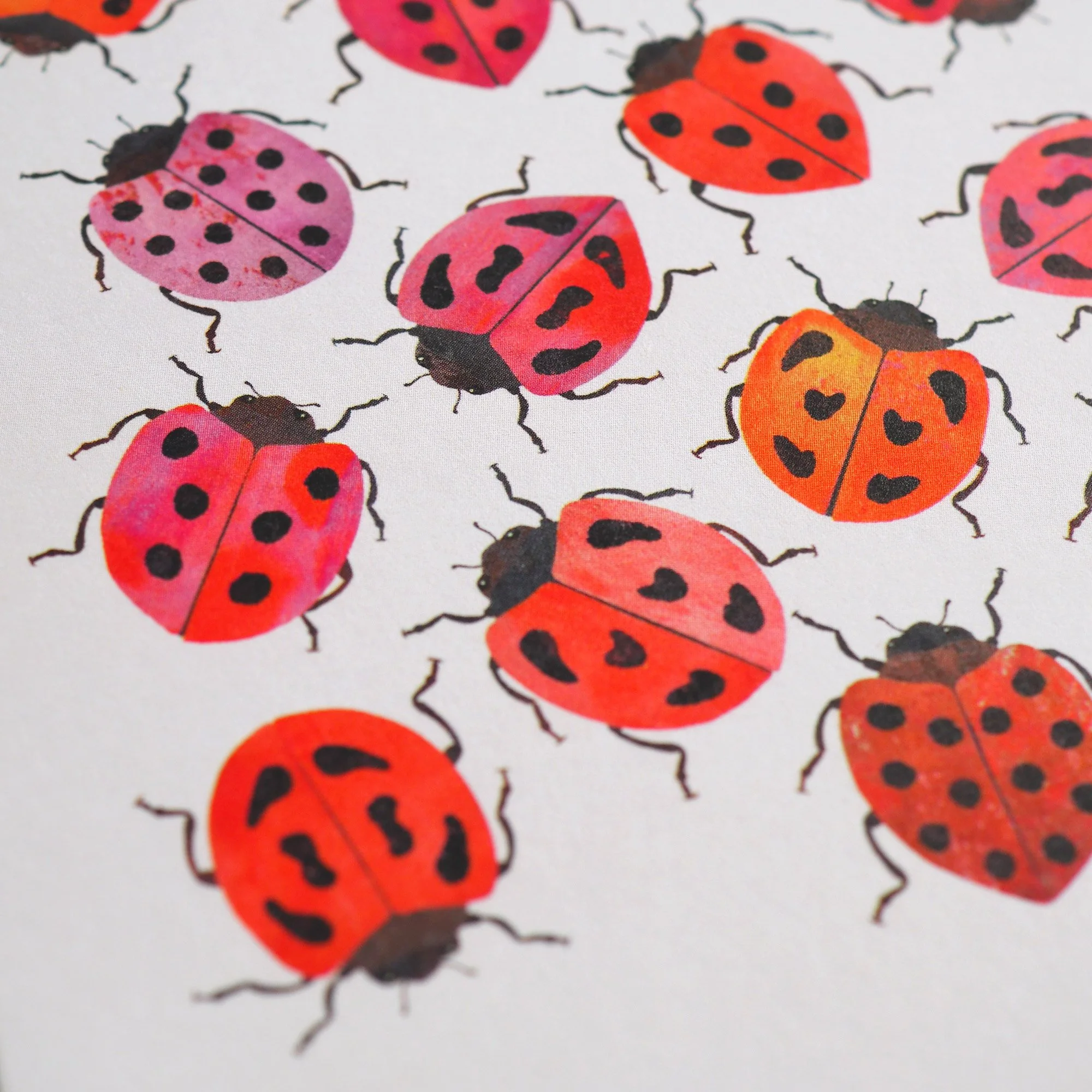 Emily_Engel_lady_beetles1_card_2026_detail.jpg