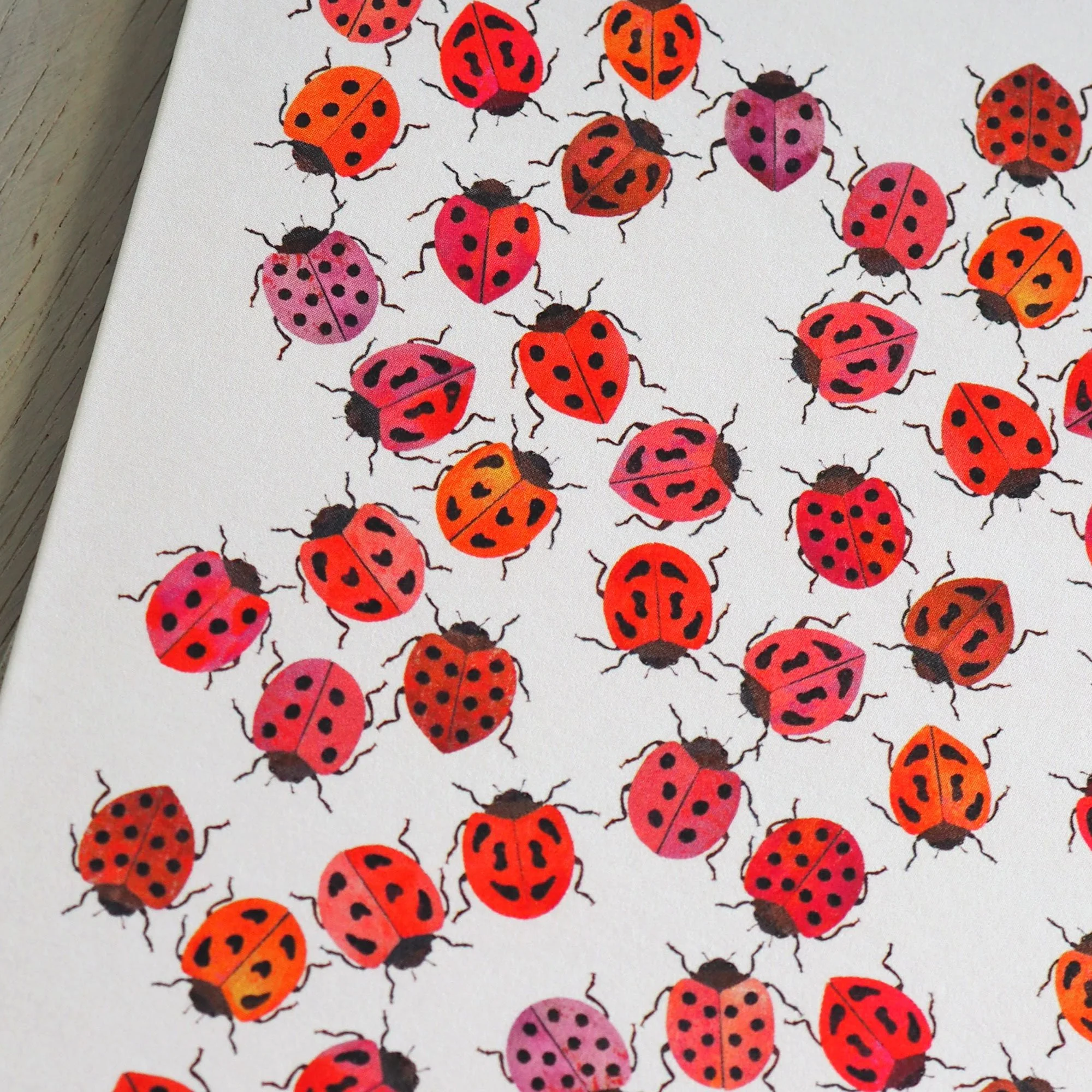 Emily_Engel_lady-beetles2_card_2026_main_zoom.jpg
