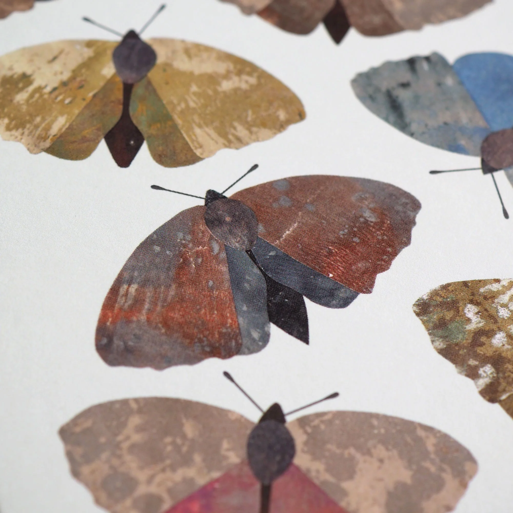 Emily_Engel_moth_card_2026_detail.jpg