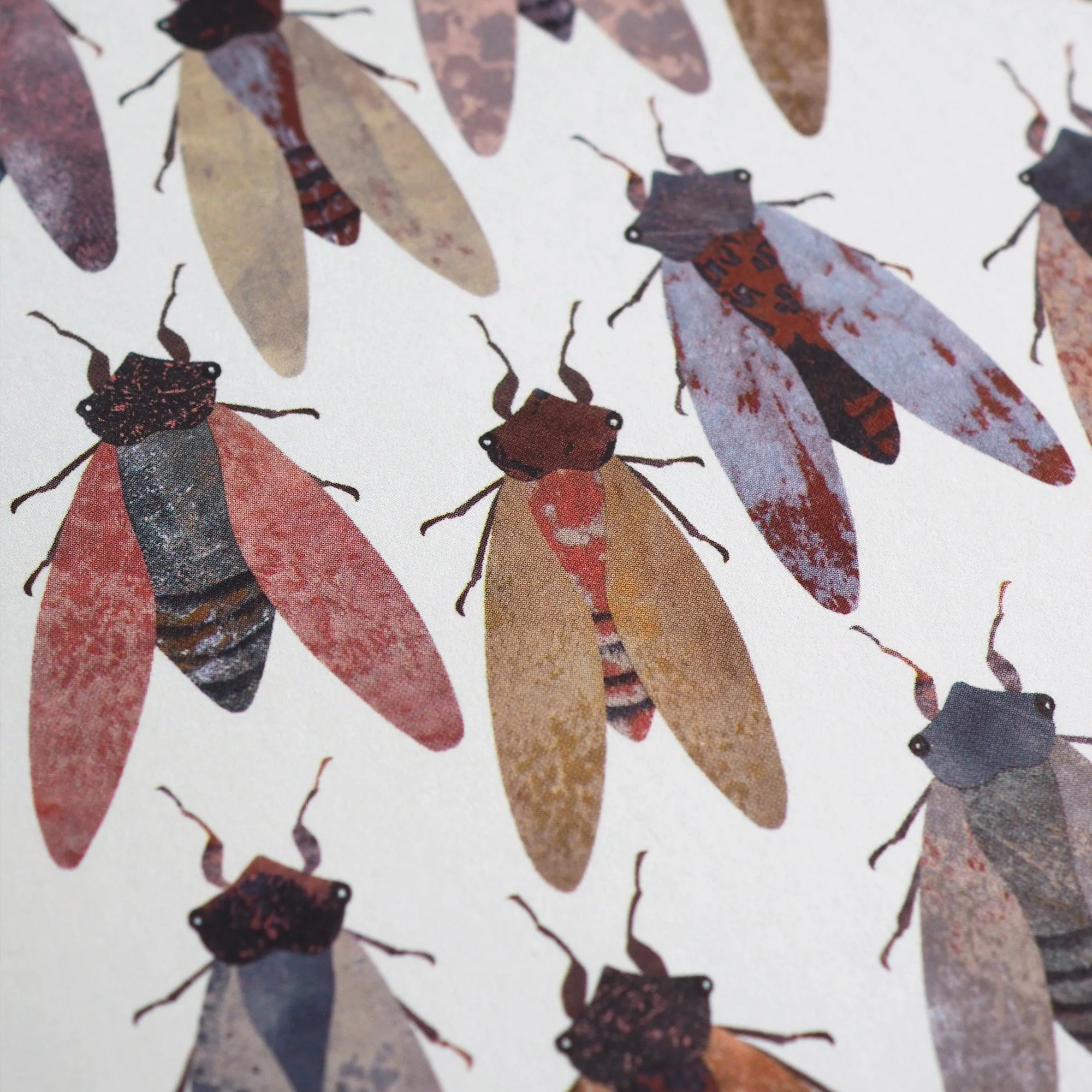 Emily_Engel_cicadas_card_2026_detail.jpg