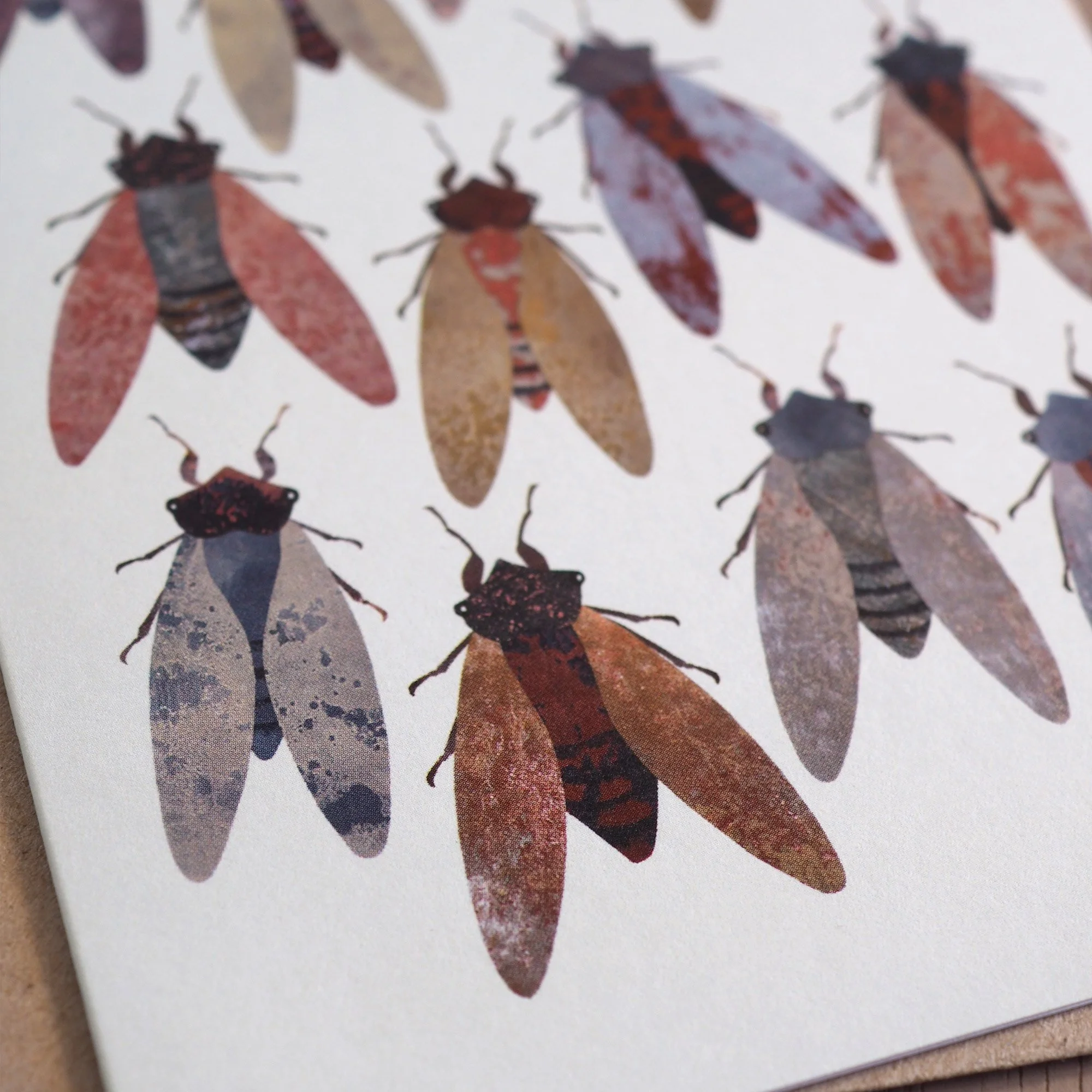 Emily_Engel_cicadas_card_2026_detail_angled.jpg