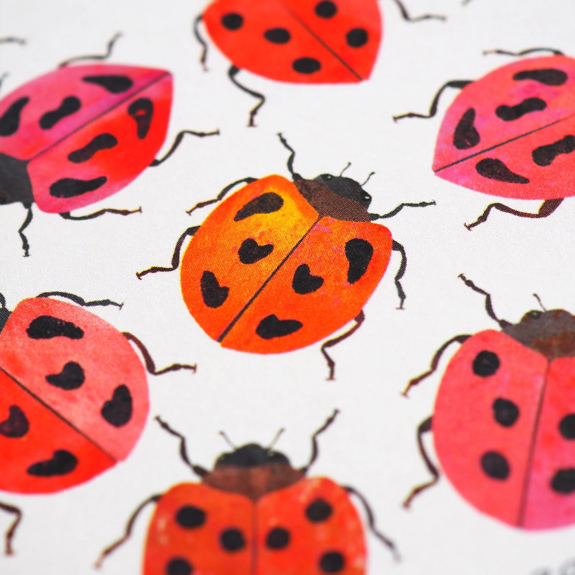 Emily_Engel_lady_beetles1_card_2026_detail2.jpg