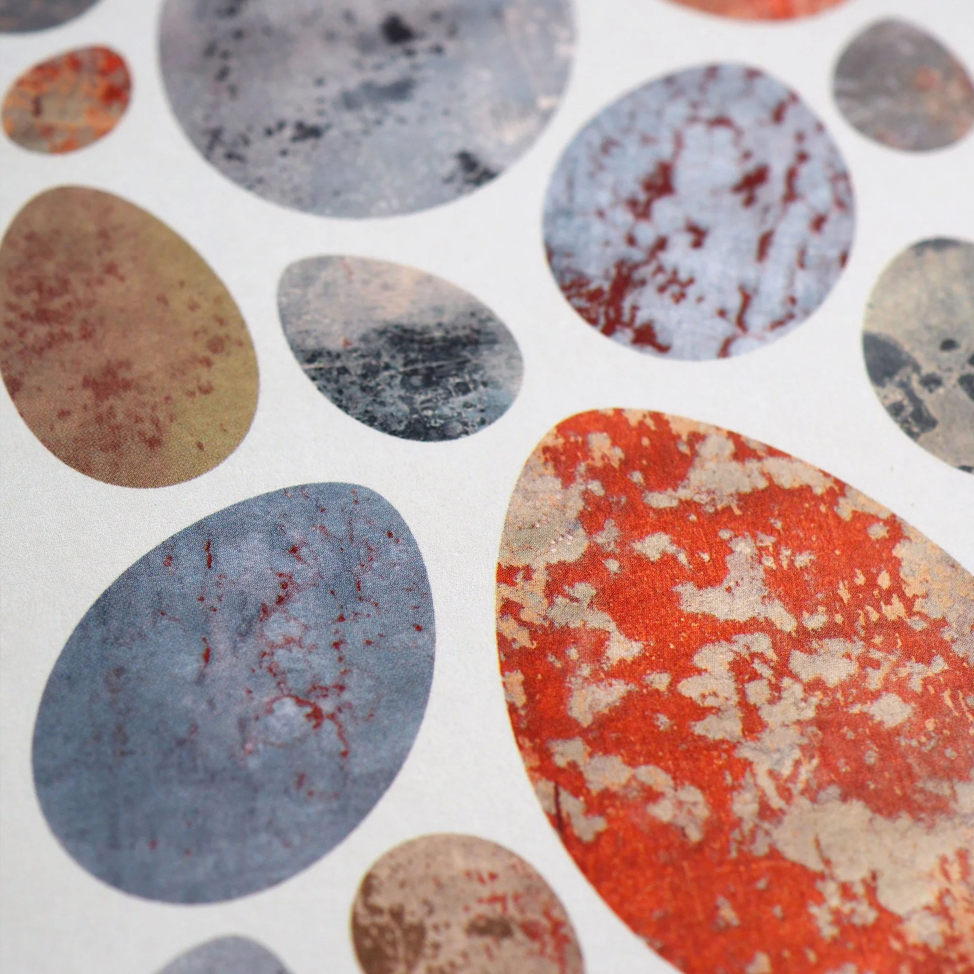 Emily_Engel_eggs_card_2026_detail.jpg
