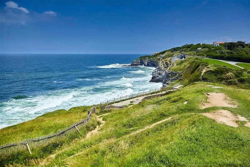 Côte rocheuse avec falaises vertes, sentiers et clôtures longeant la mer sous un ciel bleu.