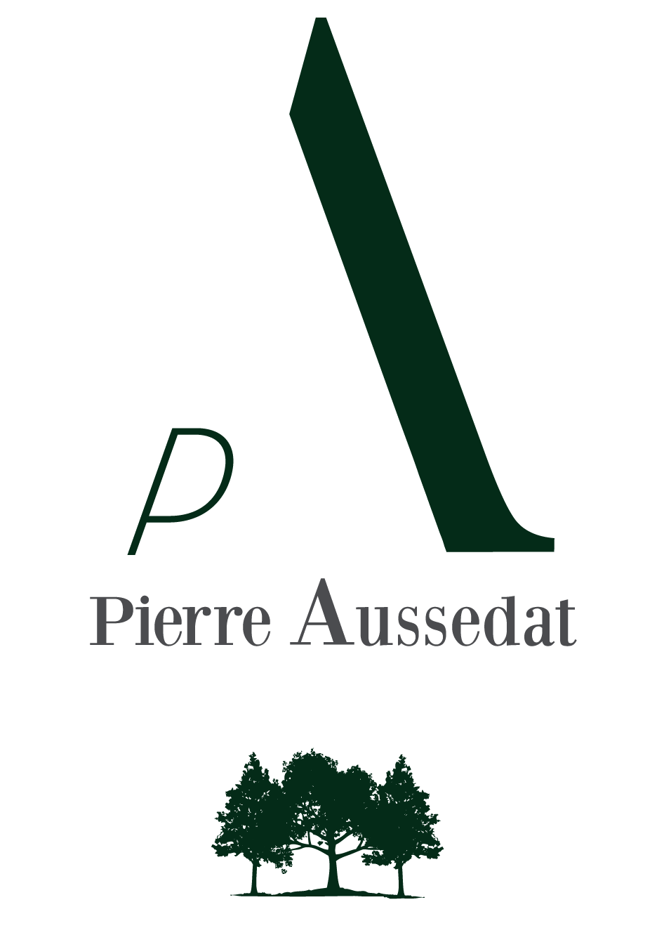 Logo de Pierre Ausdat
