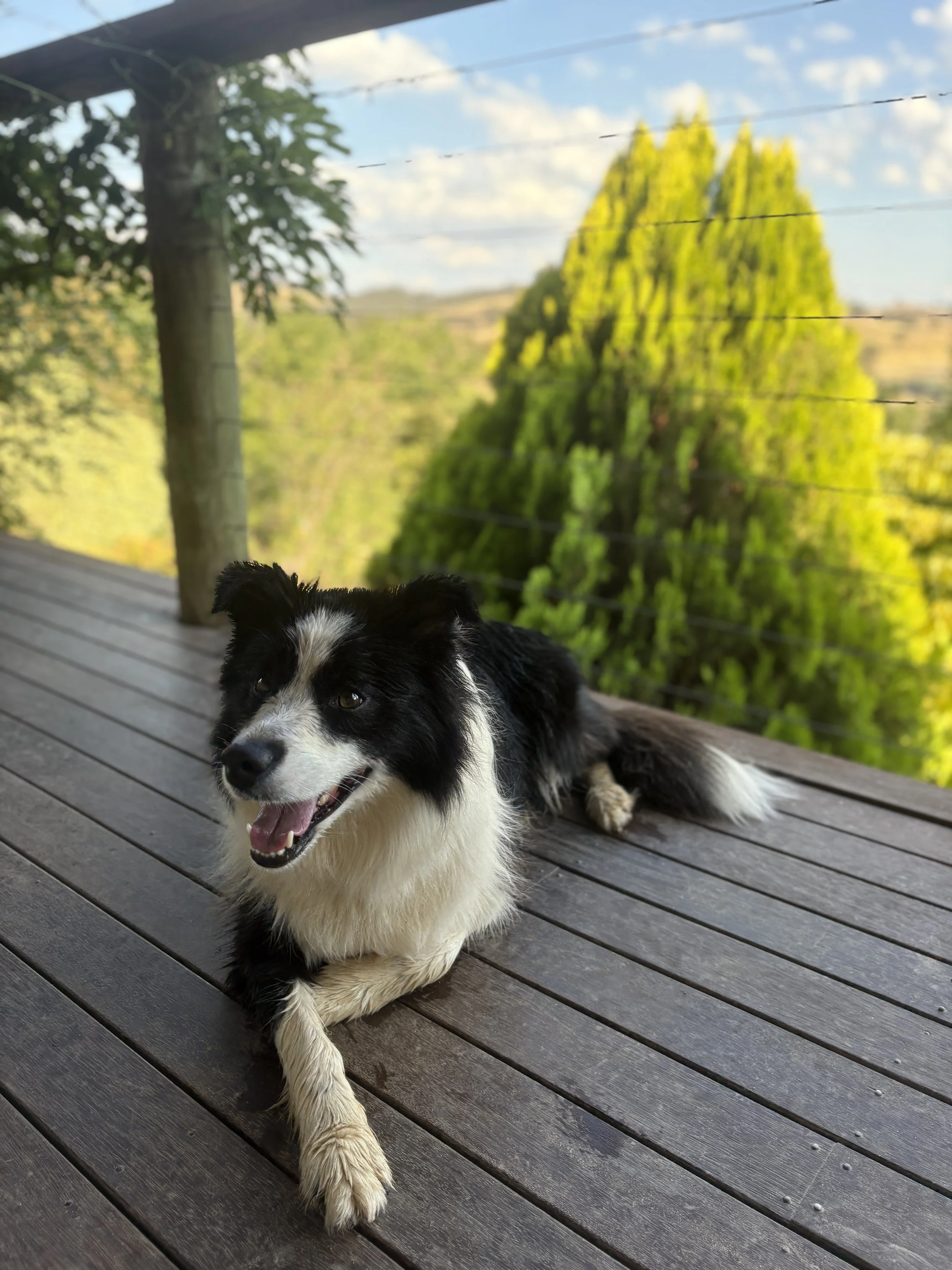 IMG_5779.JPEG