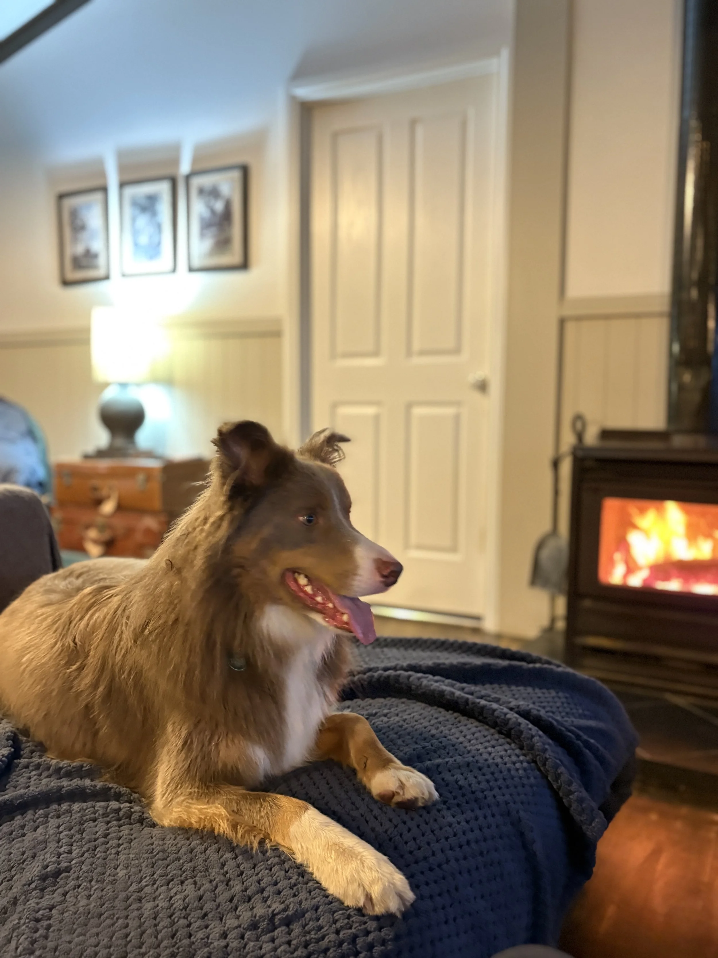 IMG_4148.JPEG