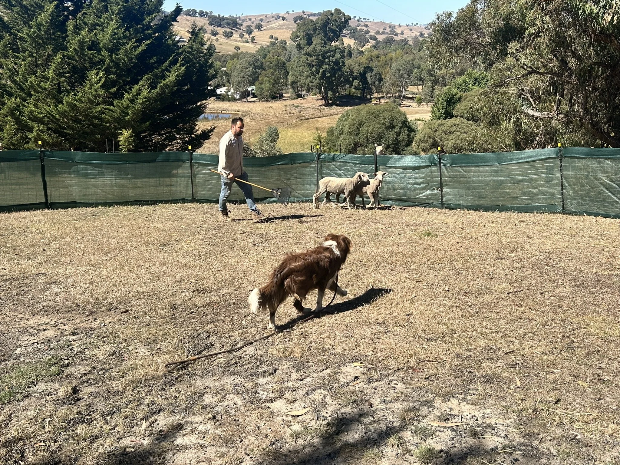 IMG_8124.JPEG