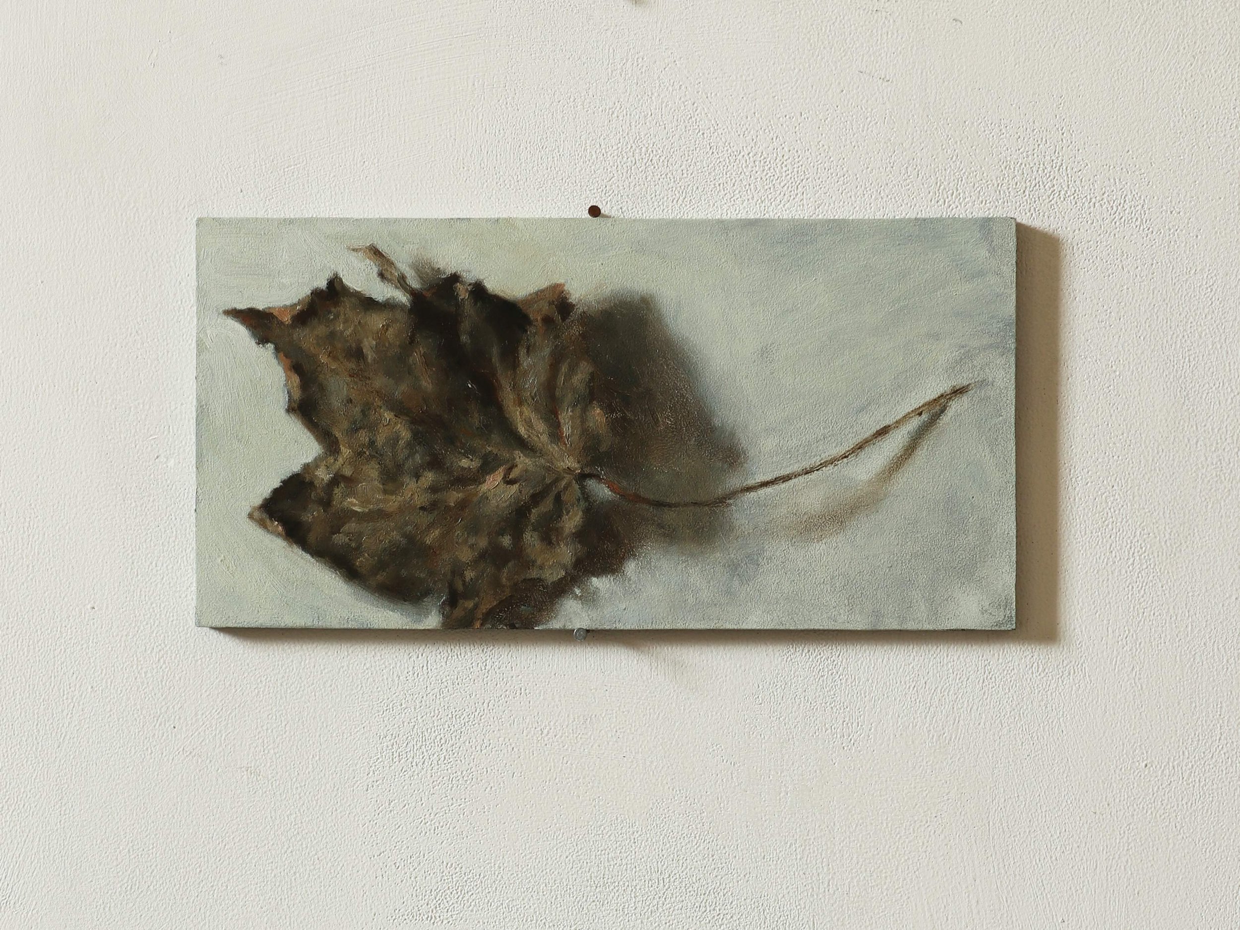 Leaf Study