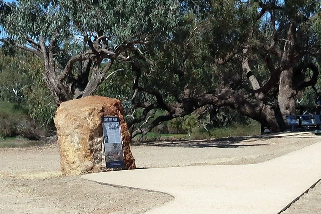 Dig Tree Reserve — The Dig Tree