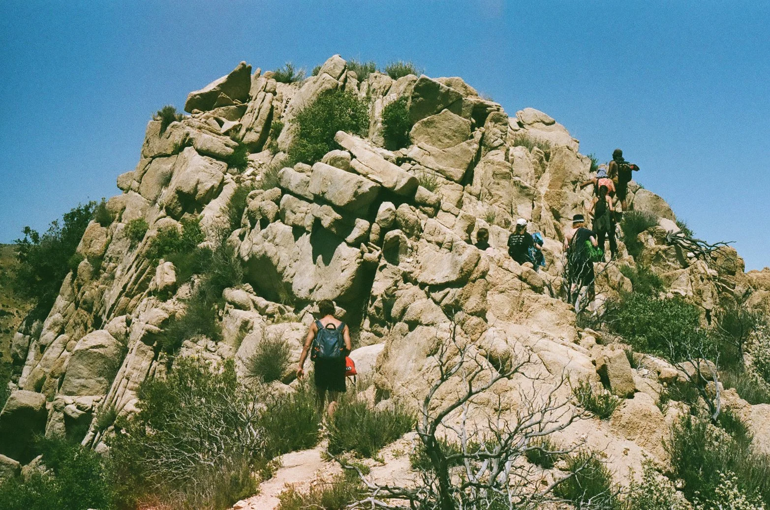 4.24.20 boys on the hike.jpg