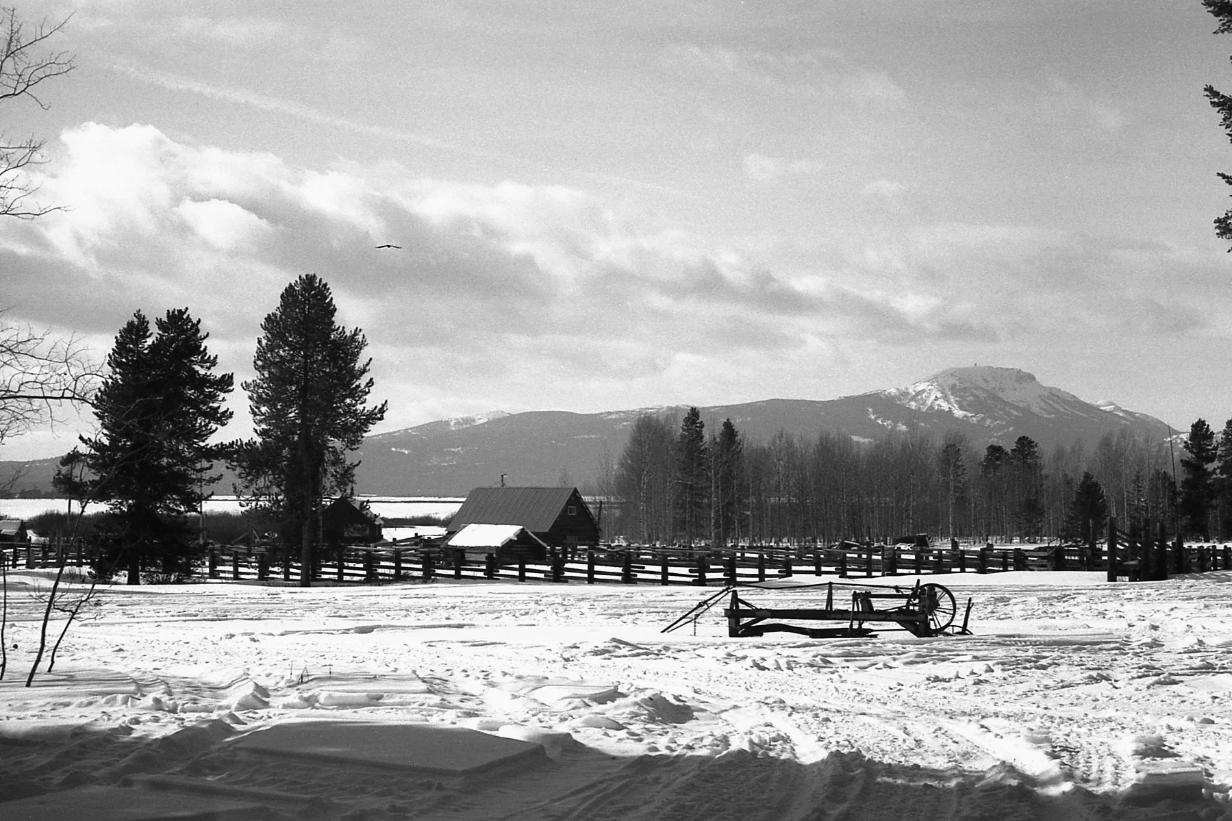 2_3_26 - Meadow Creek Ranch - Idaho.jpg