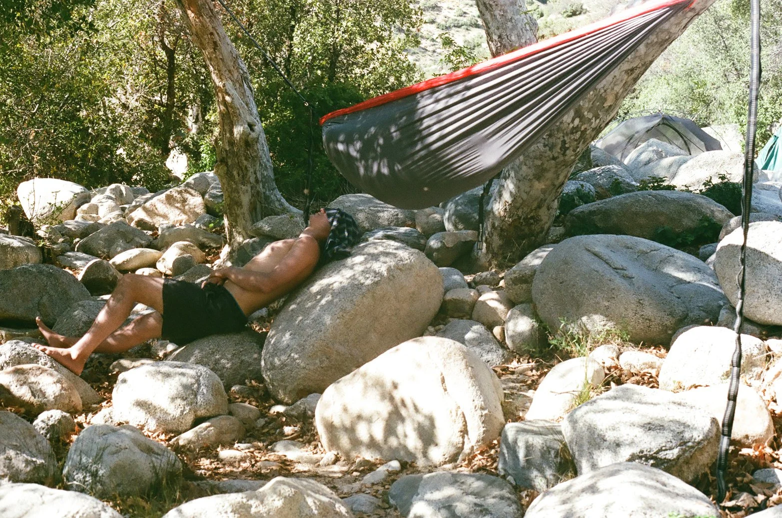 4.24.20 nap time.jpg