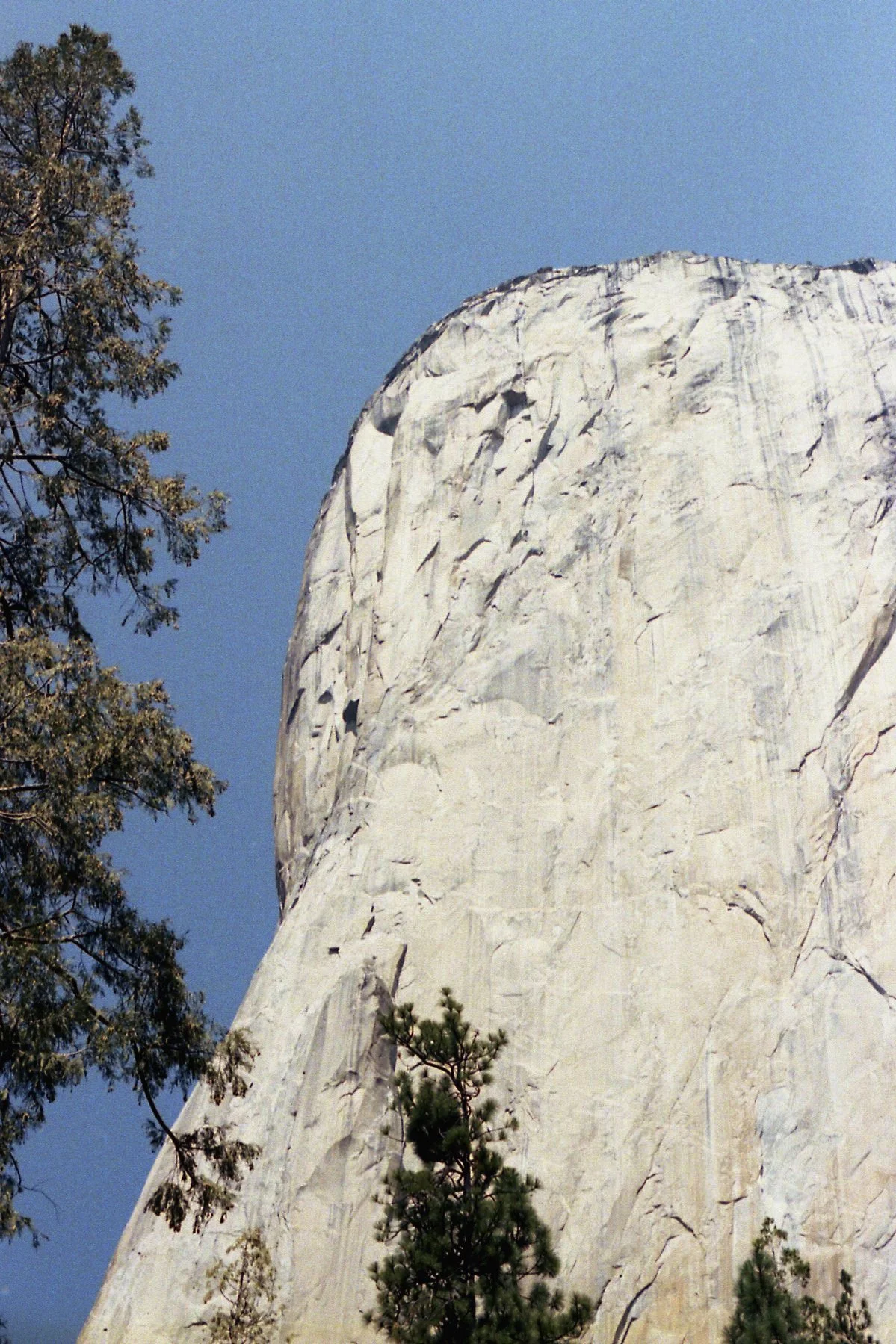8.30.25 - El Capitan.jpg