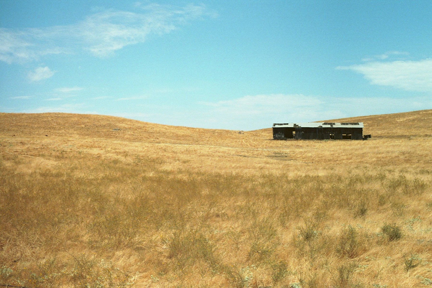 8.26.25 - 94° in Coarsegold.jpg