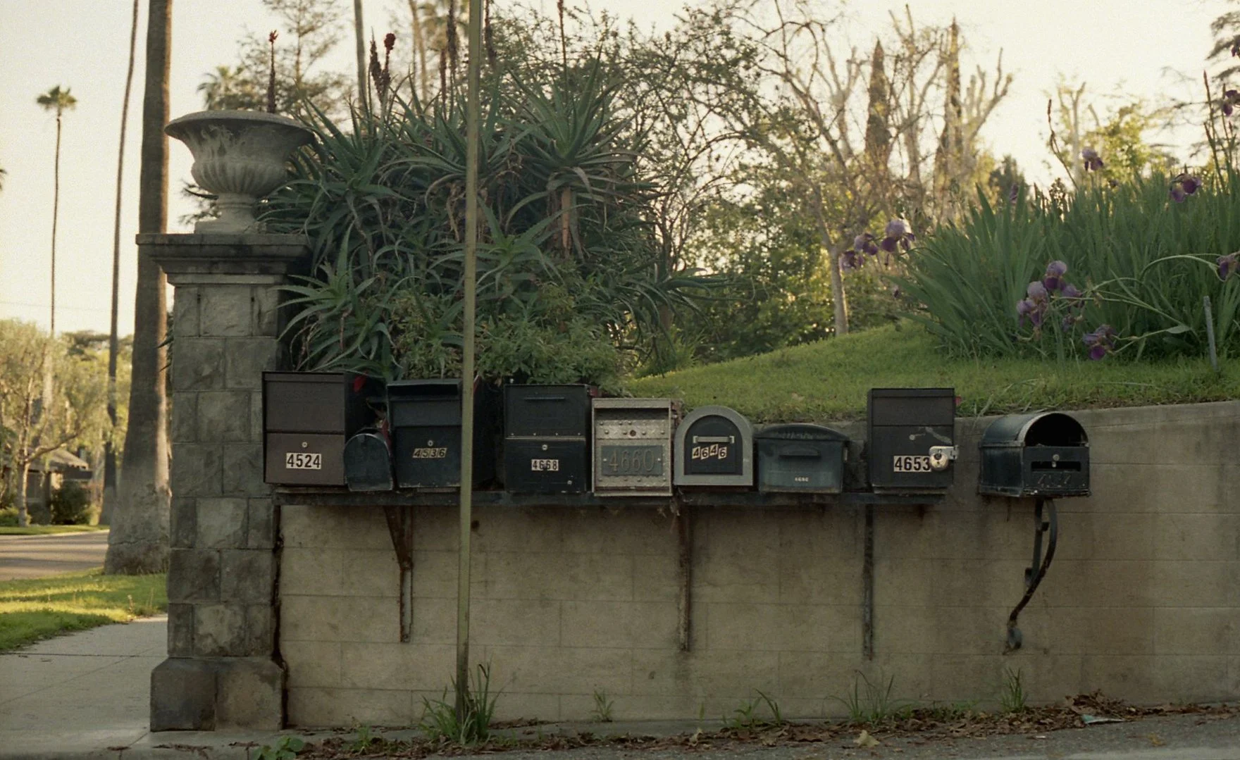 3.24.23 - Mailboxes - Riverside, CA.jpg