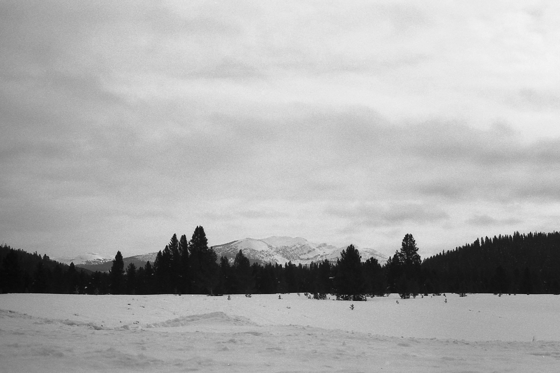 2_4_26 - Gallatin Range, WY.jpg