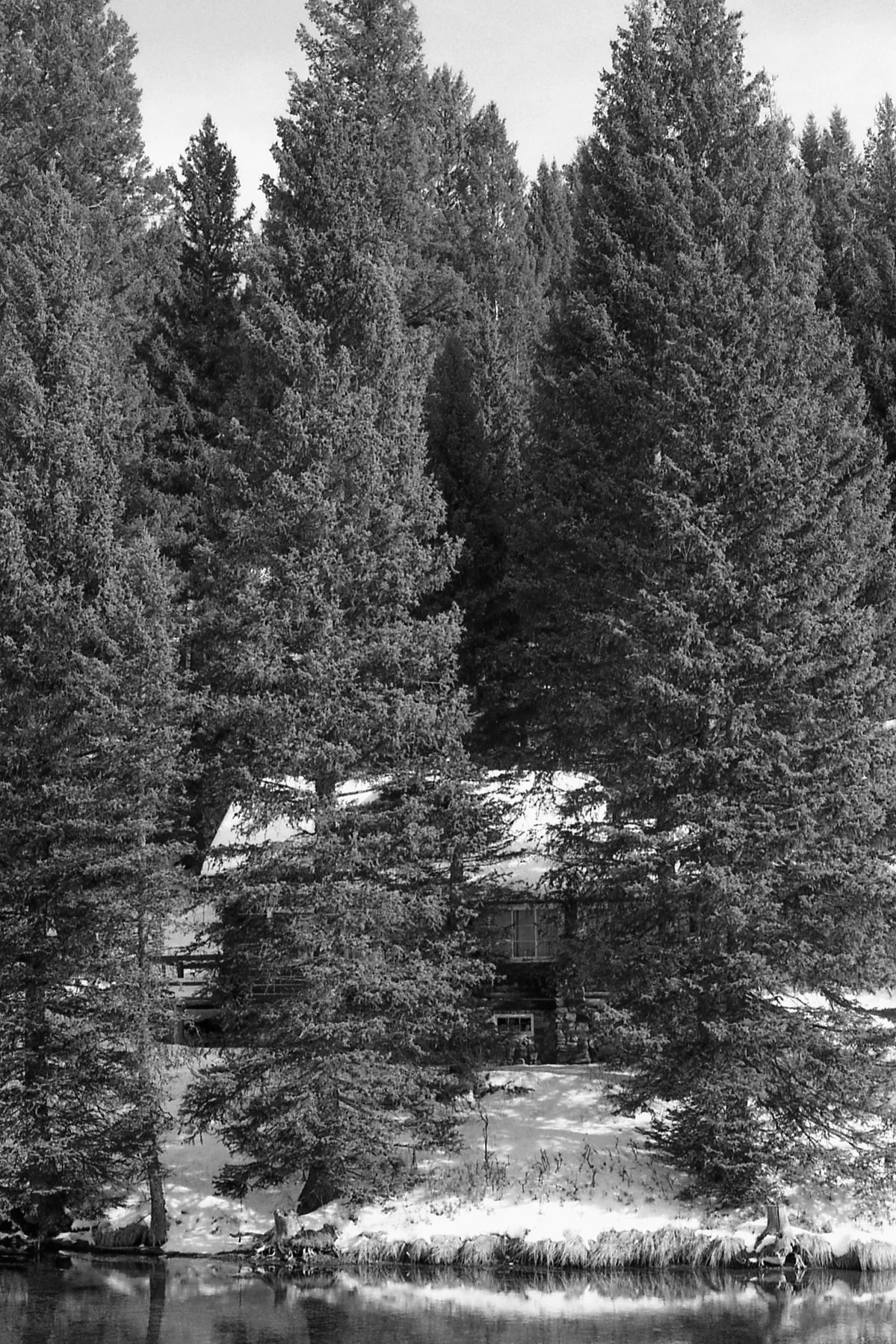 2_3_26 - Cabin - Big Spring, ID.jpg