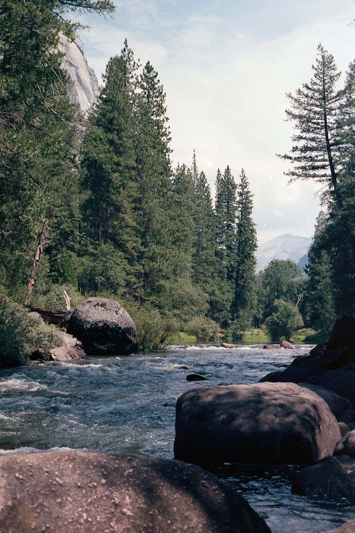 8.27.25 - Merced River - Yosemite.jpg