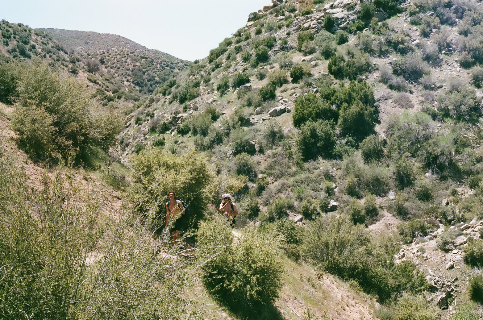 4.24.20 Alec and Greyson hiking.jpg