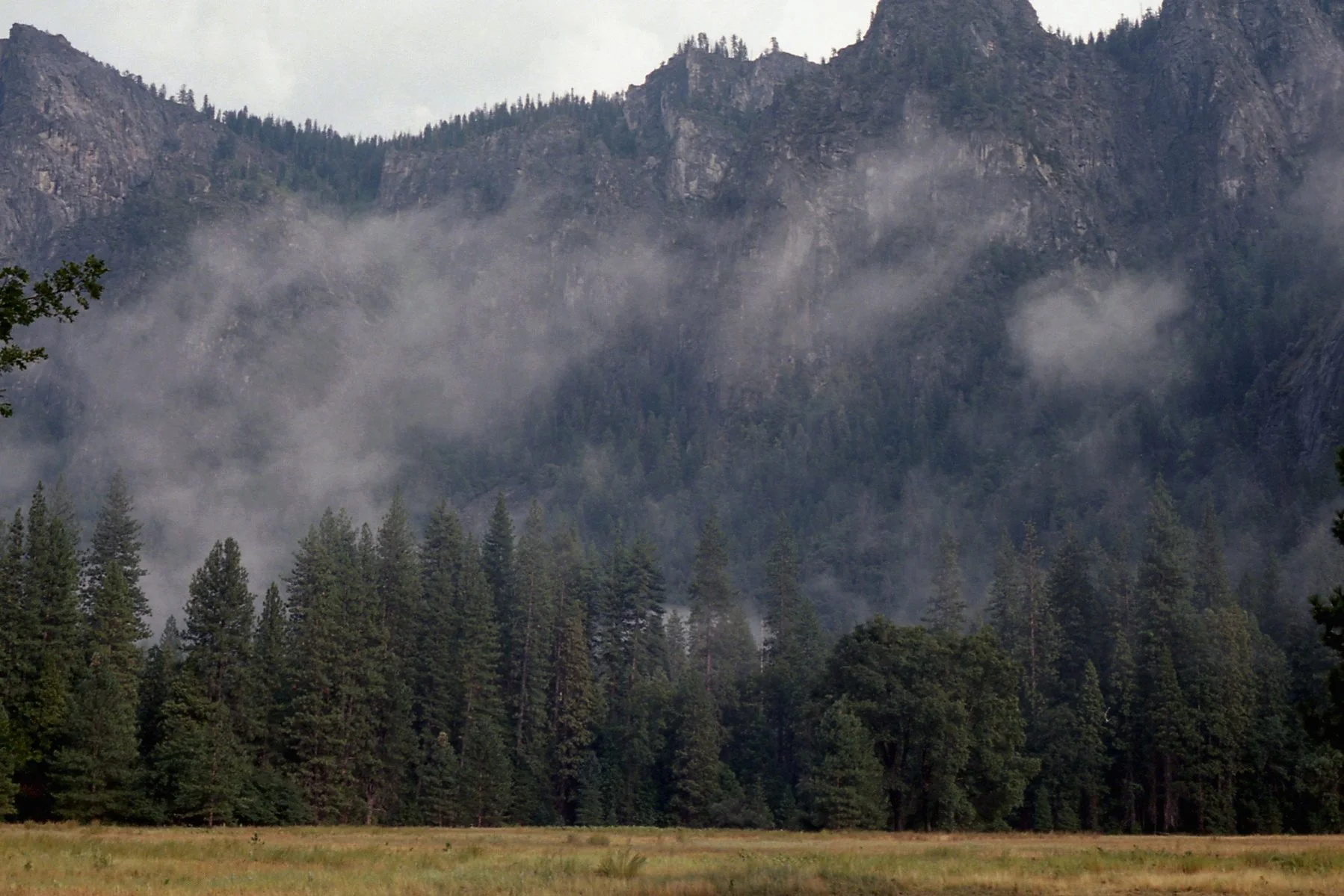 8.27.25 - Yosemite Valley.jpg