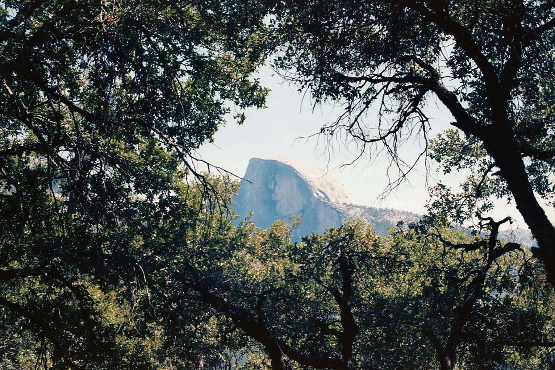 8.28.25 - Half Dome - Yosemite.jpg