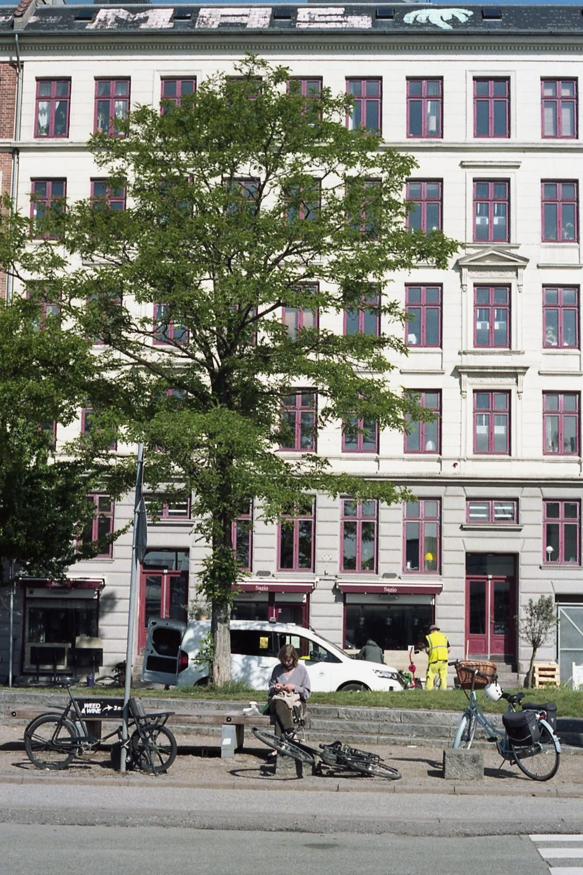 5.26.25 - Reading.jpg