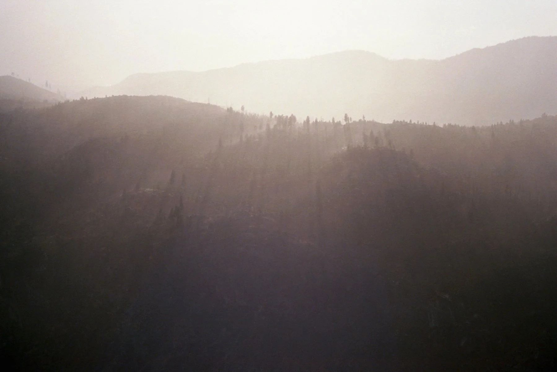 8.27.25 - Yosmite Evening.jpg