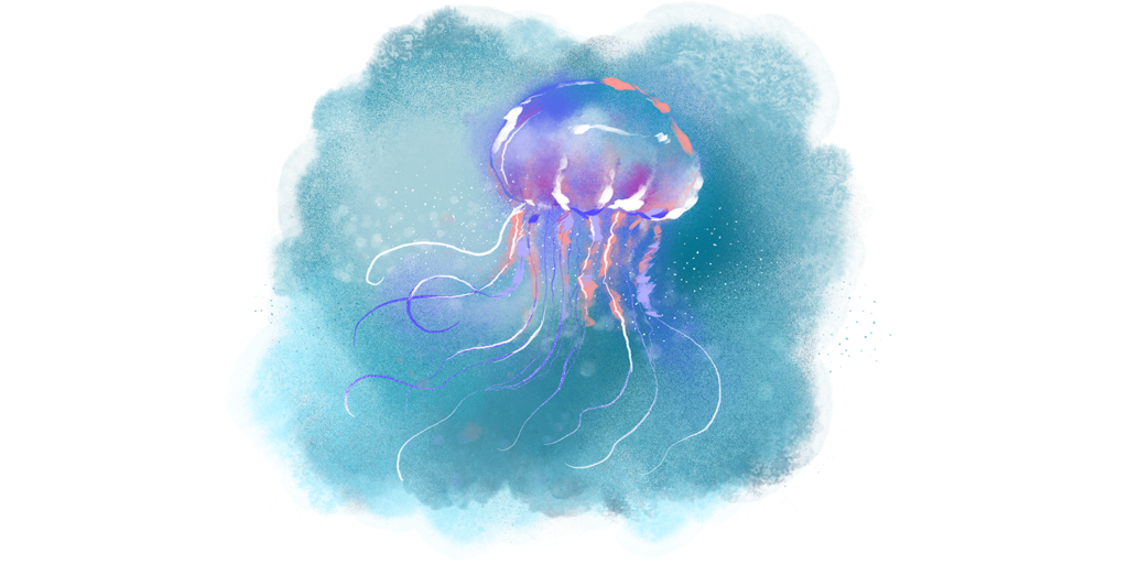 sec-imgjellyfish-1024x512.png