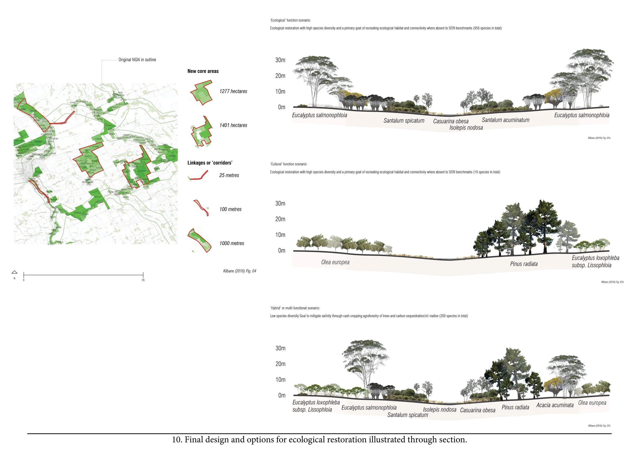 10_ NGN_SimonKilbane_FinalDesign+Section.jpg