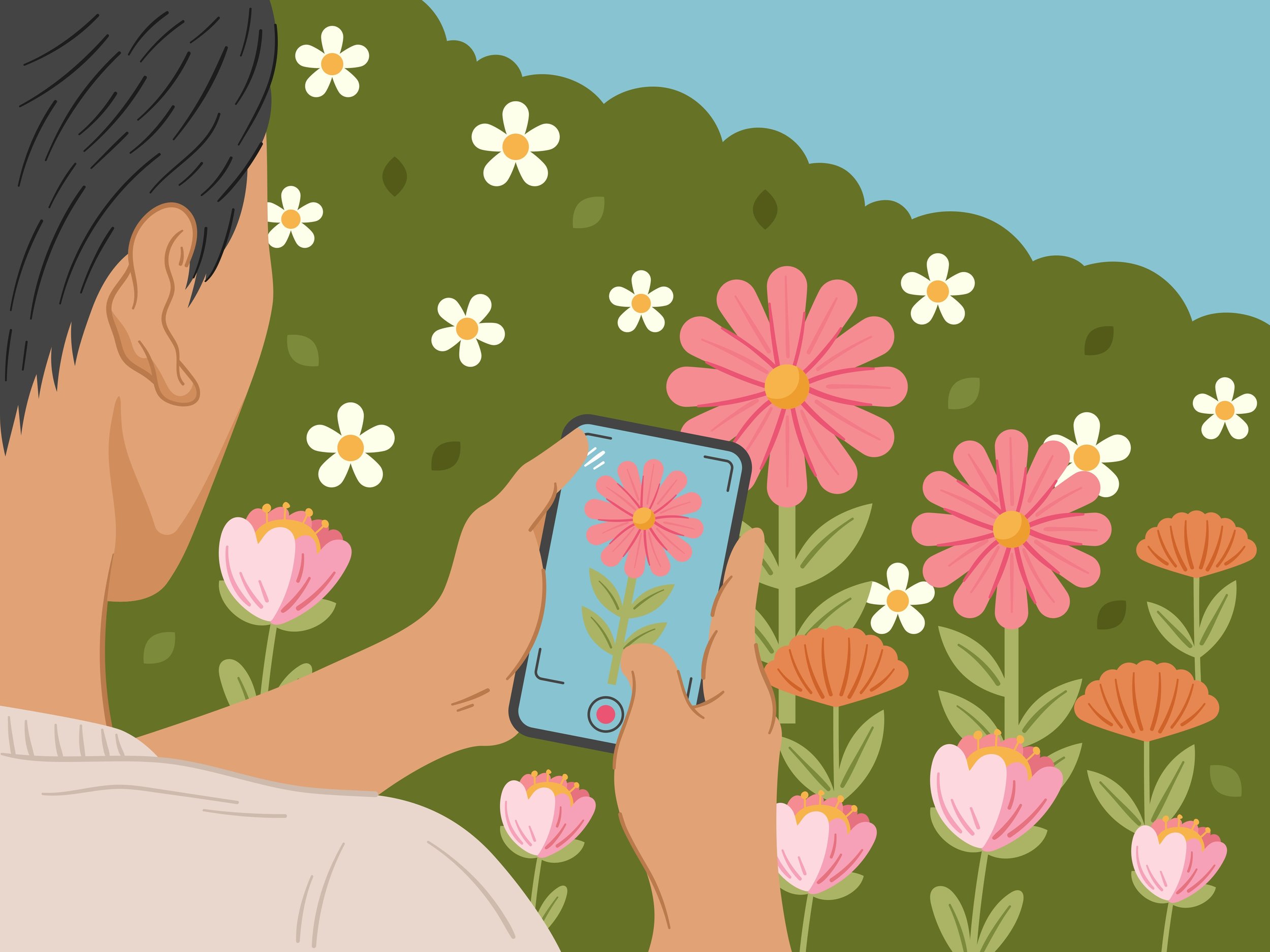 Illustration of a person taking a photograph of a daisy with a smartphone
