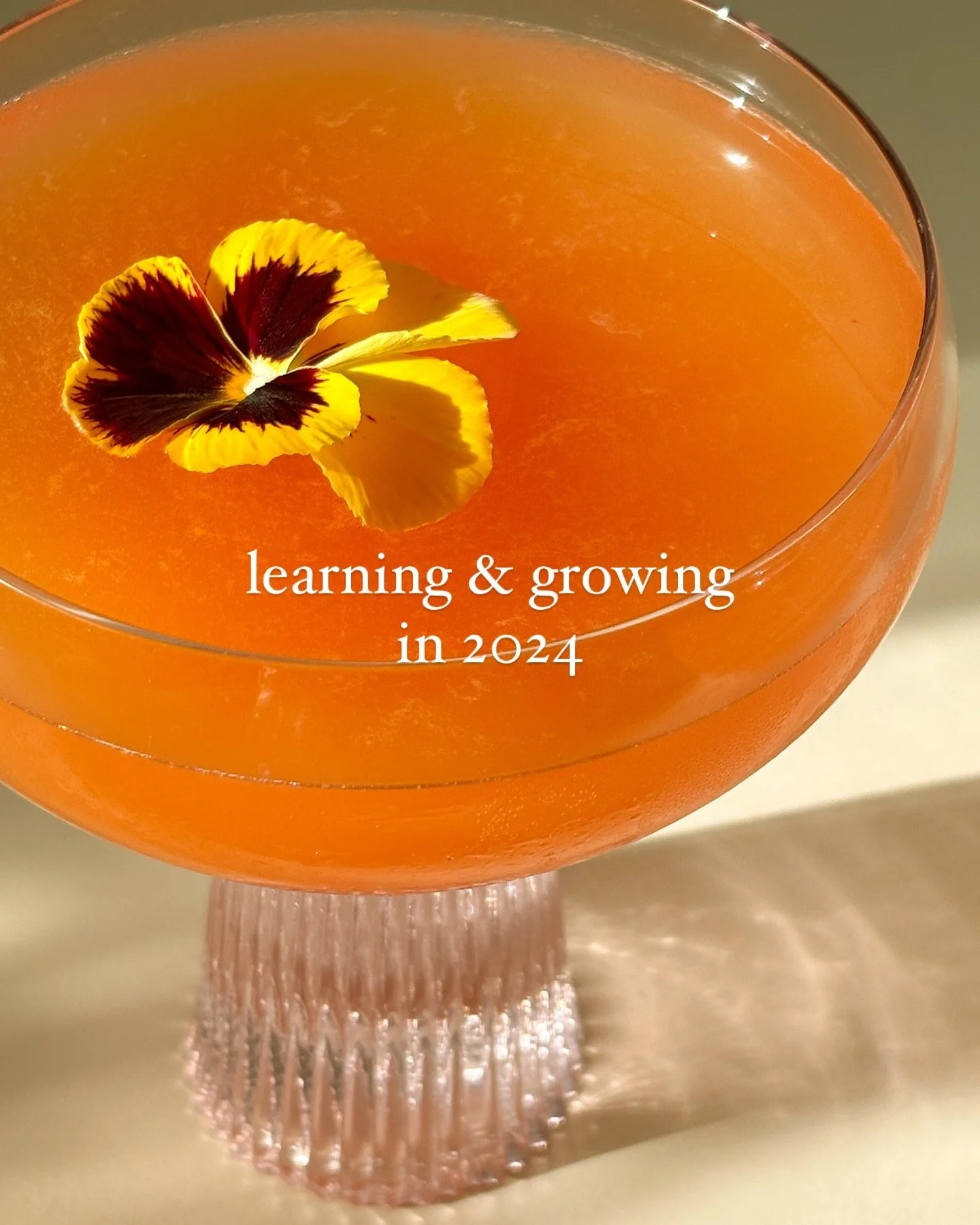2024 SNIPPETS // Learning and Growing

This year has been one of my favourites. I finally graduated, got a job as a designer and content creator, got better at creating for fun outside of work, bought flowers whenever I could, and felt more comfortab