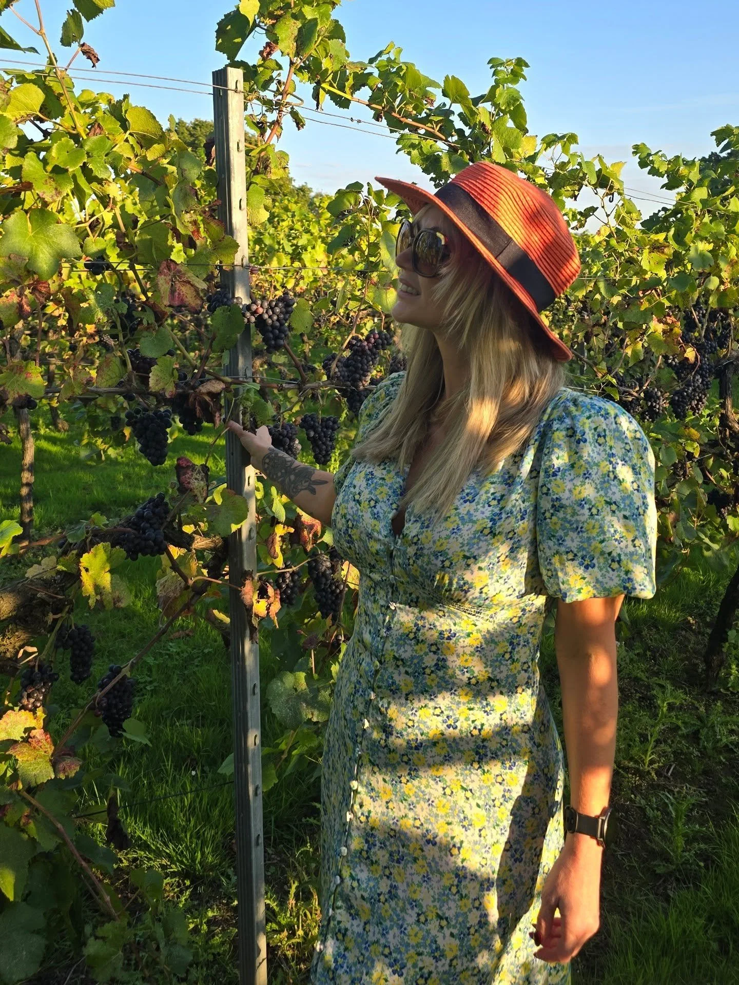 Harvest Reflections at Nutbourne 🍂

Starting my harvest visits and experiences across the country and I began at golden hour at @nutbournevineyard - where autumn's gentle embrace meets generations of mindful winemaking 

There's something profound a