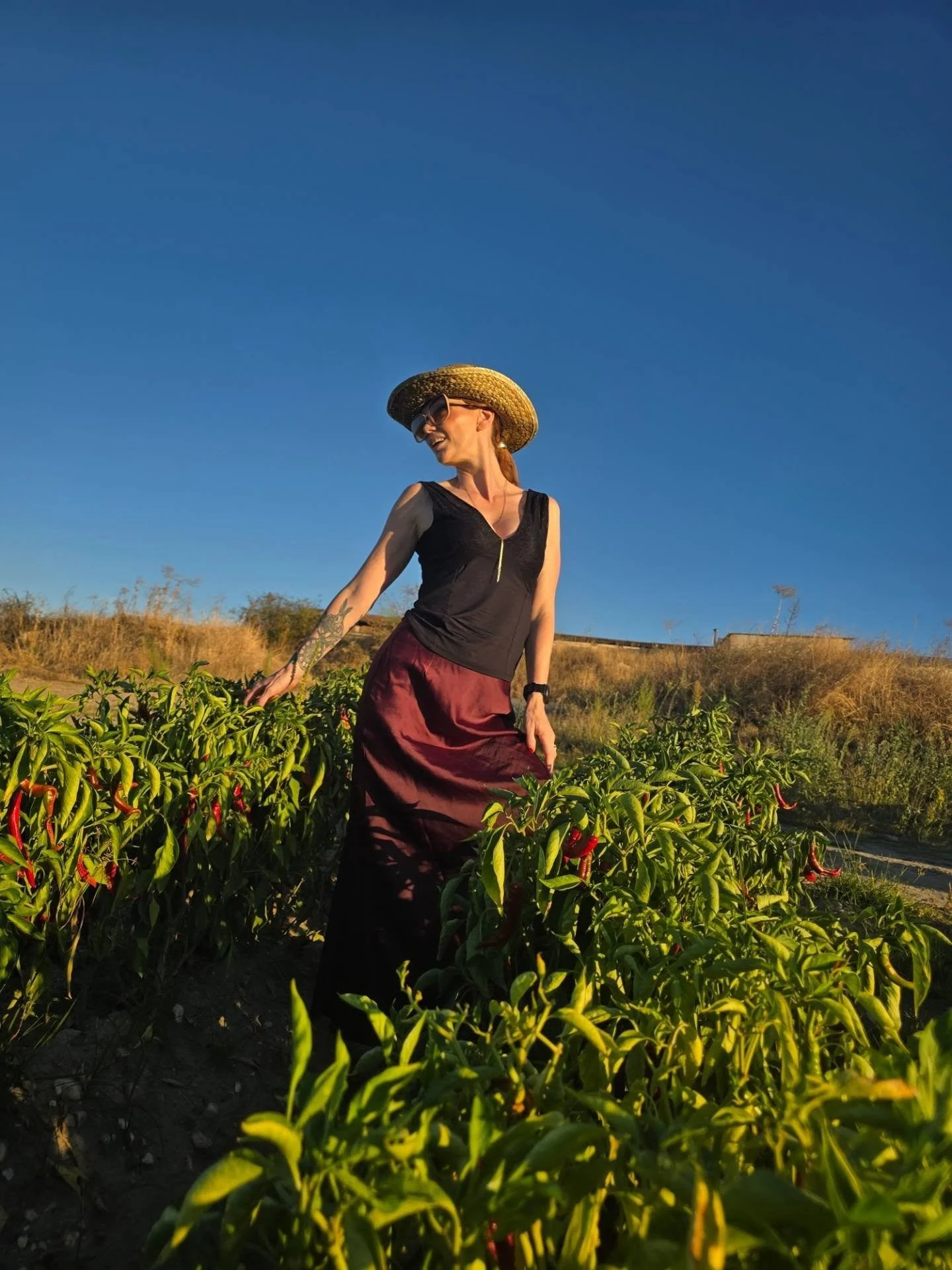 What do wine, honey, olive oil, Iberico pork, cherries, pure bred horses, chestnuts, and figs all have in common?&nbsp;

They all come from Extremadura! One of Spain's best kept secrets. You'll find it in the west of the country, tucked against the P