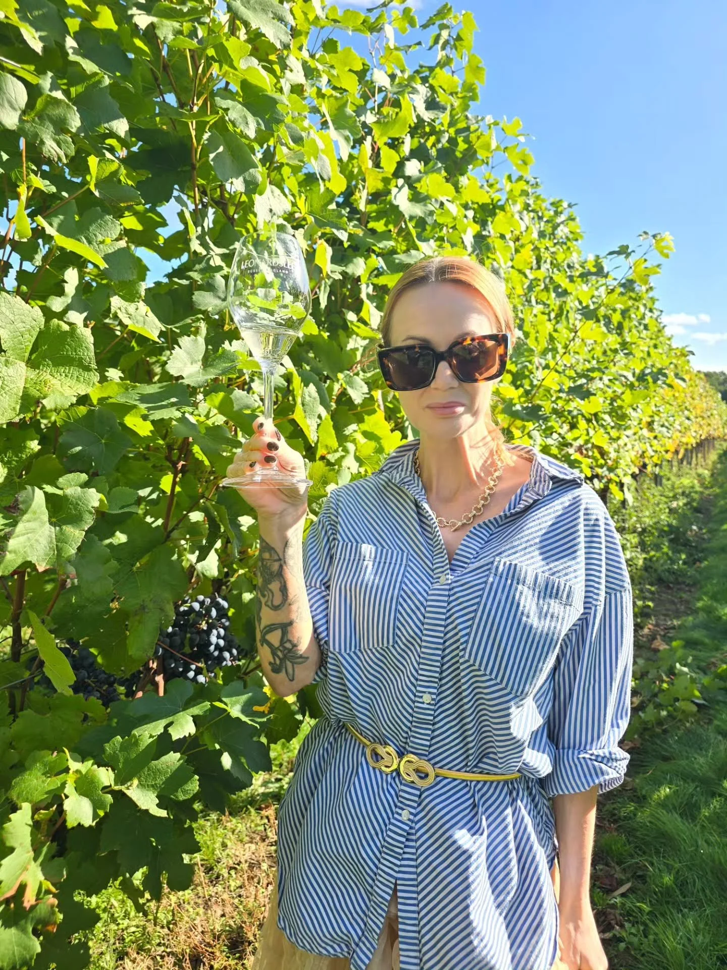 Blink and you missed it...

Harvest 2026.

Plans changing, holidays cancelled, all hands on deck for so many in English vineyards. Lower yields, lower bunch weight but rich concentrated fruit, and ripe phenolics. A year of frost, drought, and irrespo